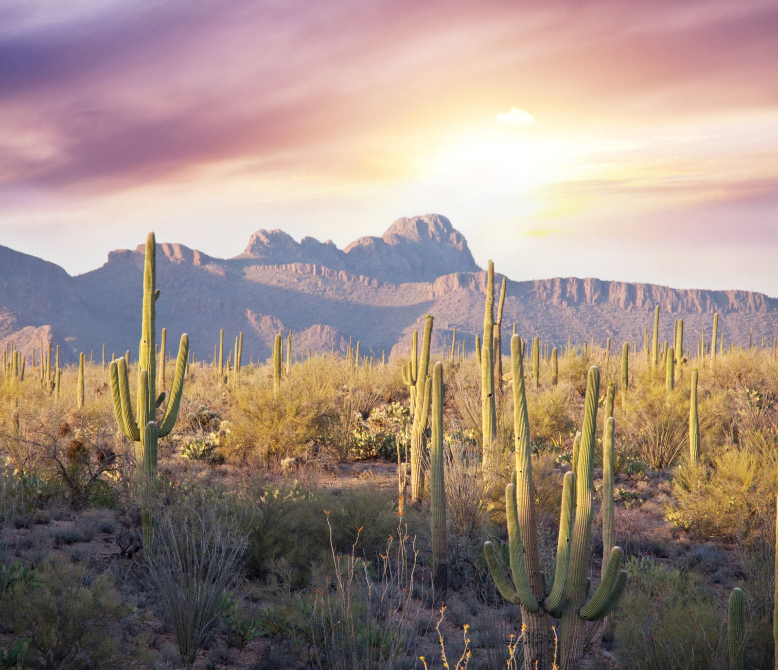 How to Become a Foster Parent in AZ