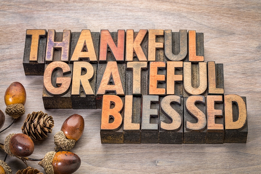 Heartfelt Gratitude As We Celebrate Thanksgiving