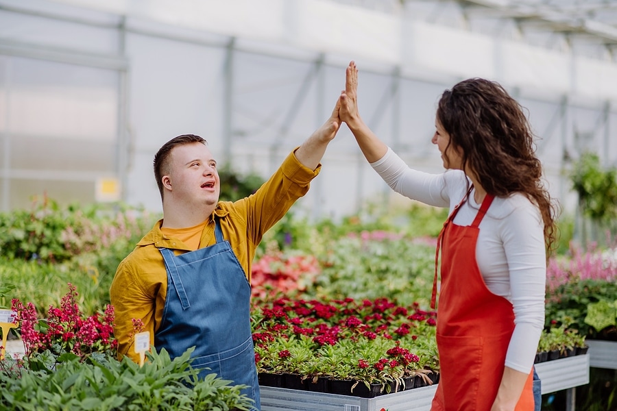 Employment Services |  RISE Services, Inc.